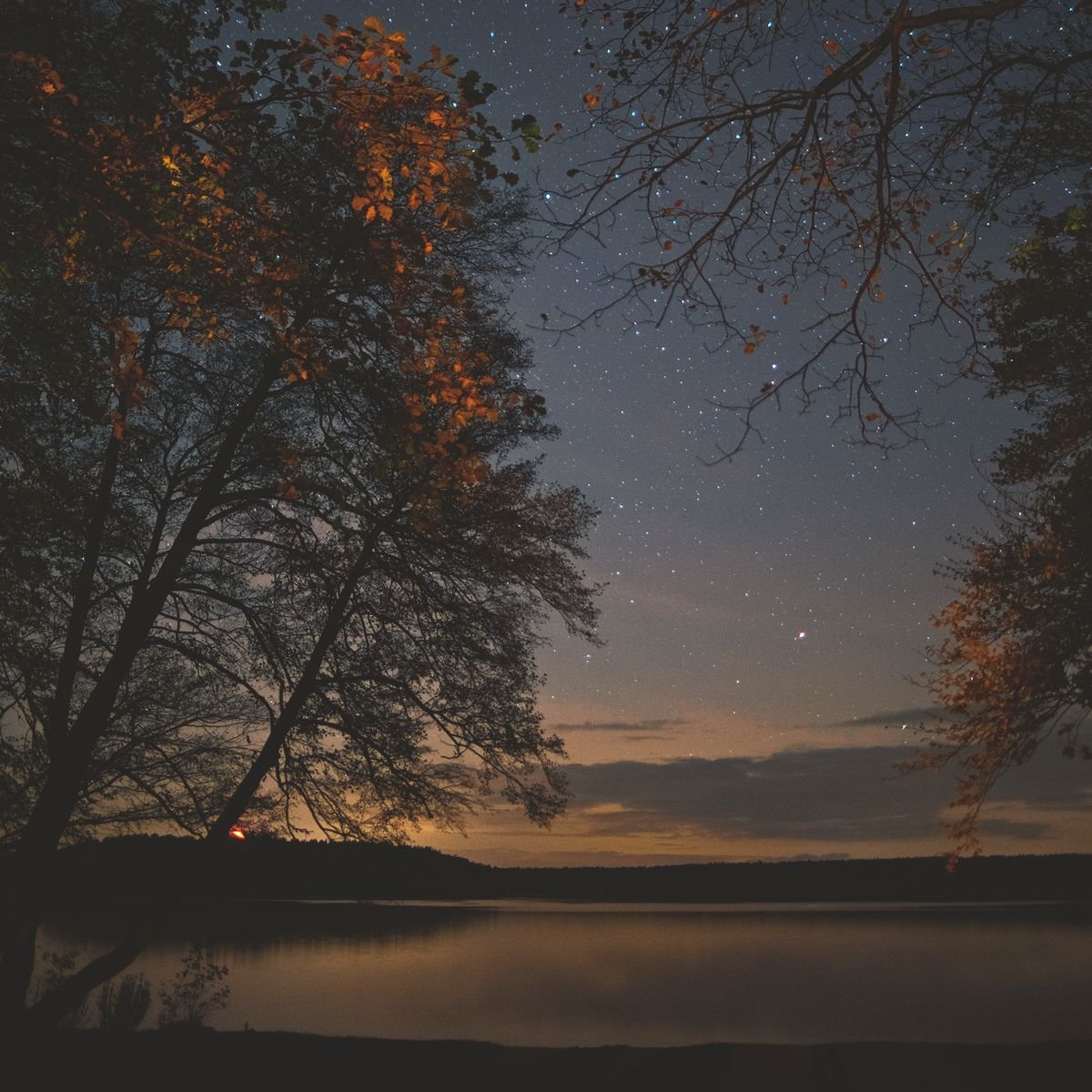 AndreBuchheim's tweet photo. #NachtWeisheit #NightWisdom
#IGNeueZeiteV #Natur #Panentheismus #Gott
Johann Wolfgang von Goethe (1749-1832)
"Es ist keine schönere Gottesverehrung als die, zu der man kein Bild bedarf, die bloß aus dem Wechselgespräch mit der Natur in unserm Busen entspringt. Dichtung und Wahrheit."
Erinnerung an 1764/65
zitiert nach: "Auge und Ahnung. Über die Natur.", Eugen Diederichs Verlag Jena 1938