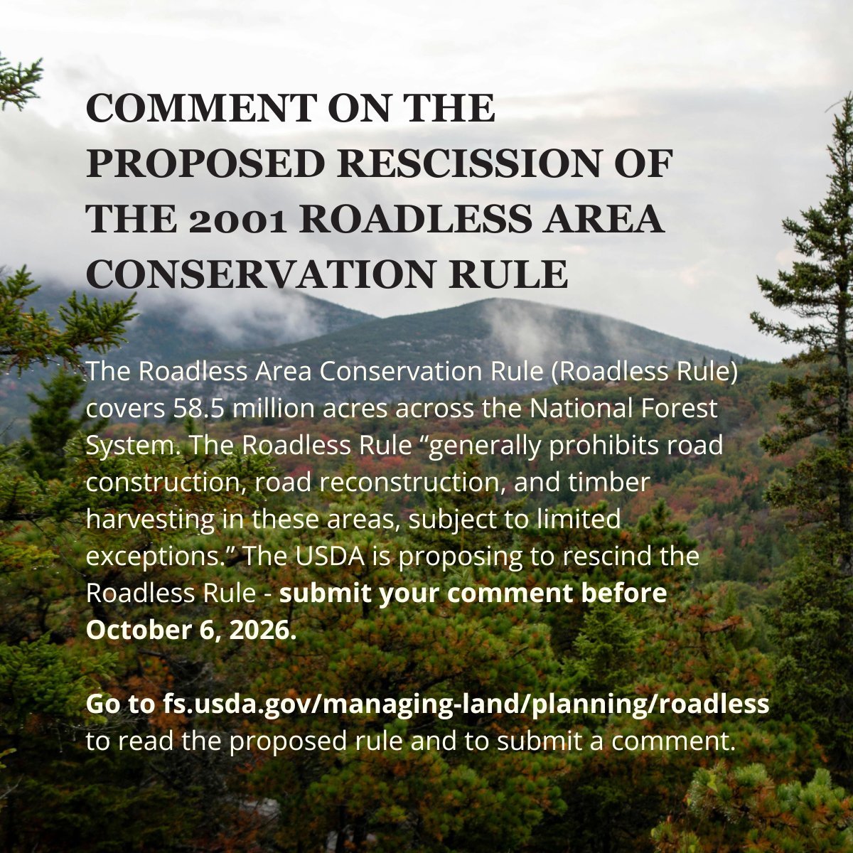 fireecology tweet picture
