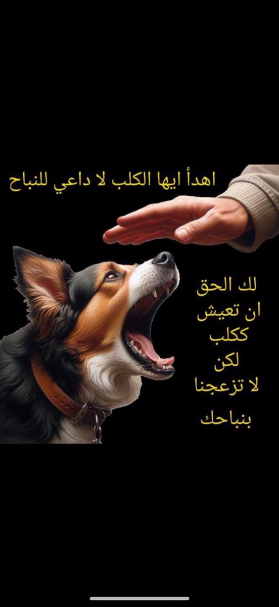 Almfnood30's tweet photo. @syrlswq377624 @UAEUAE202020 الخلاااا 🤫🤫���� https://t.co/KOFsjYYyF8