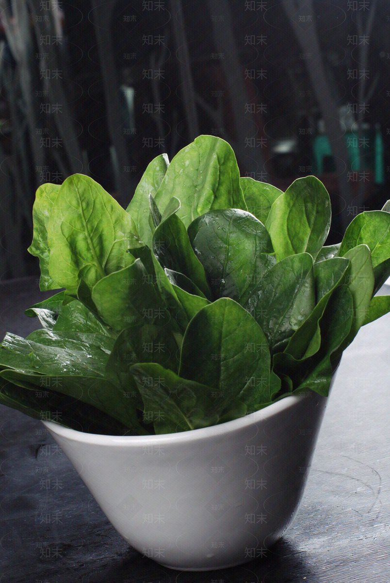 blosz626984's tweet photo. Just tried the new organic spinach from the local farm! Tender, sweet, and packed with fresh flavor—perfect for morning smoothies or salads. 10/10 would restock tomorrow. #FreshProduce #FoodFind， https://t.co/AjPKyKgcN9