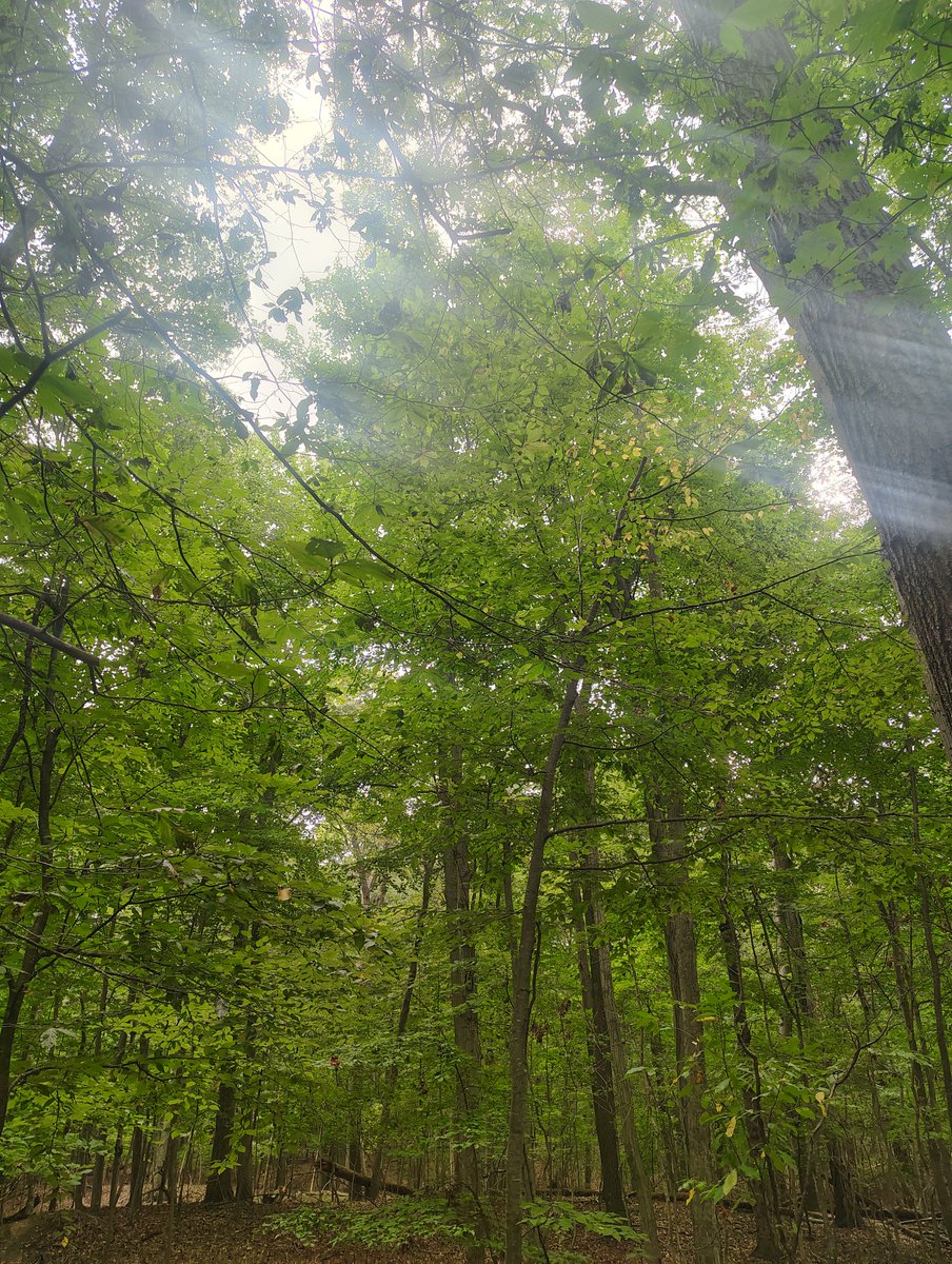 toesvcker's tweet photo. a magical view https://t.co/OU4iKL4Kgp