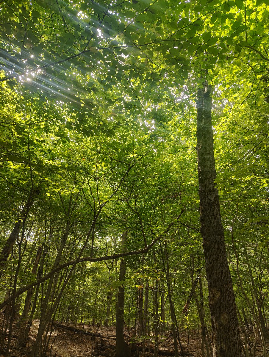 toesvcker's tweet photo. a magical view https://t.co/OU4iKL4Kgp