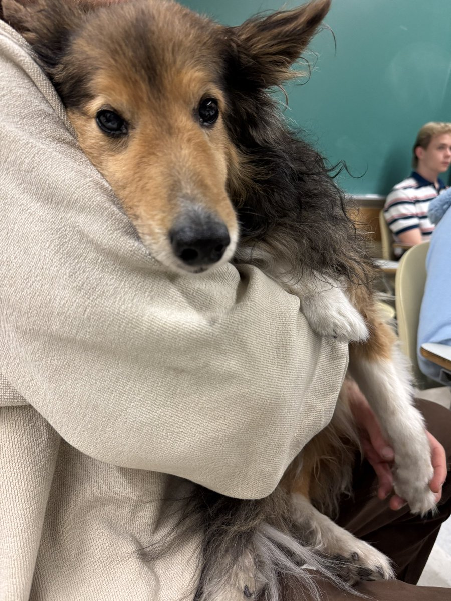 johnpaulleon27's tweet photo. We had 40+ students show up for our iconic Debate Night. TPUSA Berkeley is doing everything we can to revive Free Speech on campus.

@tpusastudents https://t.co/zdvv52AgHX