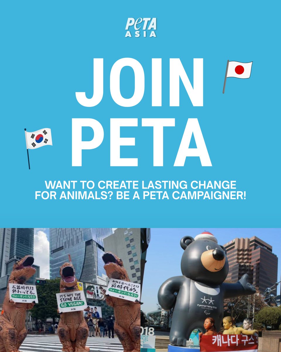PETAAsia's tweet photo. 📢 HIRING: Campaign Coordinators (Japan and South Korea) 📢

PETA Asia is seeking two passionate campaigners to help drive high-impact campaigns focused on Japan and South Korea. This is a dynamic role that could see you working with journalists, organizing public actions, creating compelling digital content, mobilizing supporters, and helping secure meaningful victories for animals.

It's challenging, fast-paced work, but it's also incredibly rewarding. 💙🐷🐥🐟🐴

We're looking for creative, motivated people who can juggle multiple projects, adapt quickly, and connect with local audiences. Fluency in the local language and a strong understanding of the local culture are essential.

If you're reading this and thinking, "That sounds like me," we’d love to hear from you!

🔗 Apply today: https://t.co/hqXioGONlE