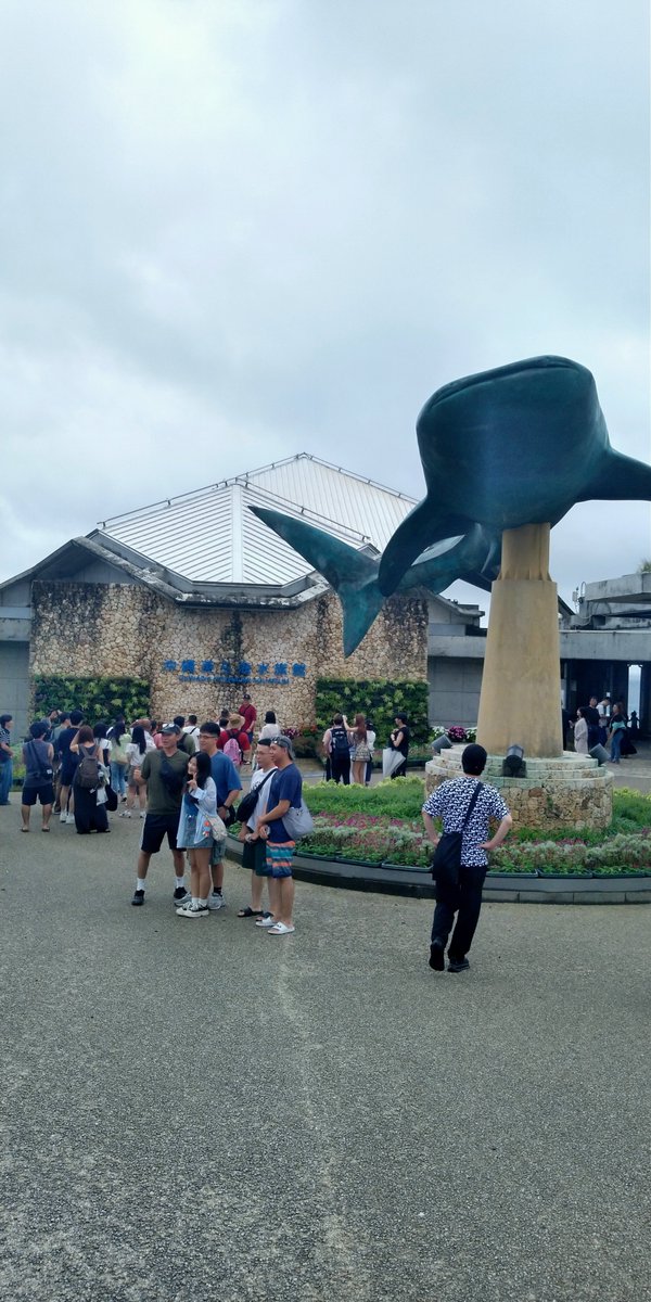 b_cover72's tweet photo. 最近あんま写真あげてないな
7月北海道���ったあと今月は沖縄いきました（4回目くらい）
8年ぶりくらいに旅行先でしっかり雨降られたわ
前は令和になったばかりで二条城が無料開放されてたときだなたしか https://t.co/aL8XQJtumc