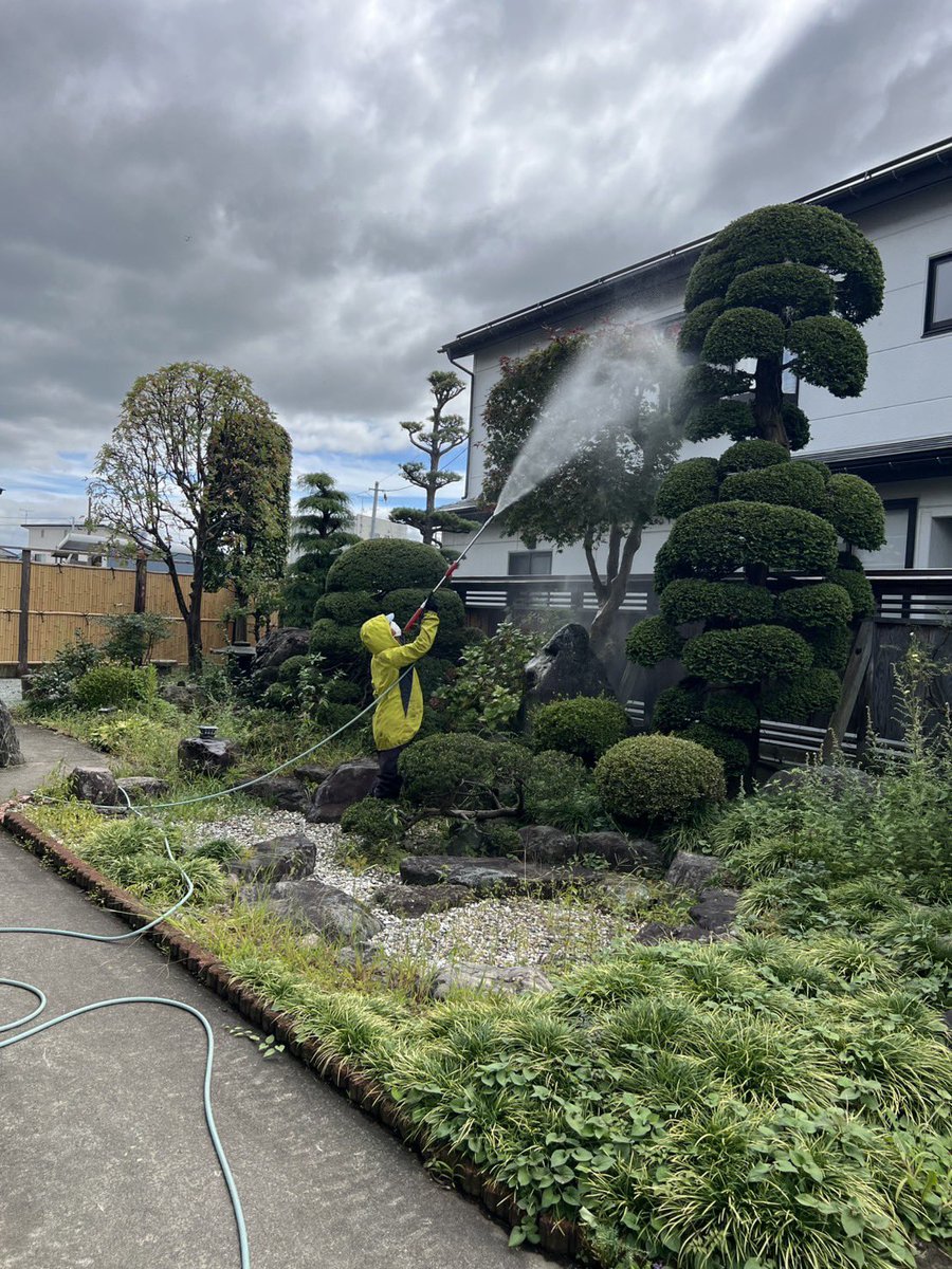 SAITOZOUEN's tweet photo. おはようございます🙂
雨が降らない日が二日続いたので消毒作業👍
お客様に晴れたら伺いますと言ったきり数日💦　遅くなりすみません🙇‍♂️
今日も一日大切に😉
#消毒作業 https://t.co/j6mZDqaBGy