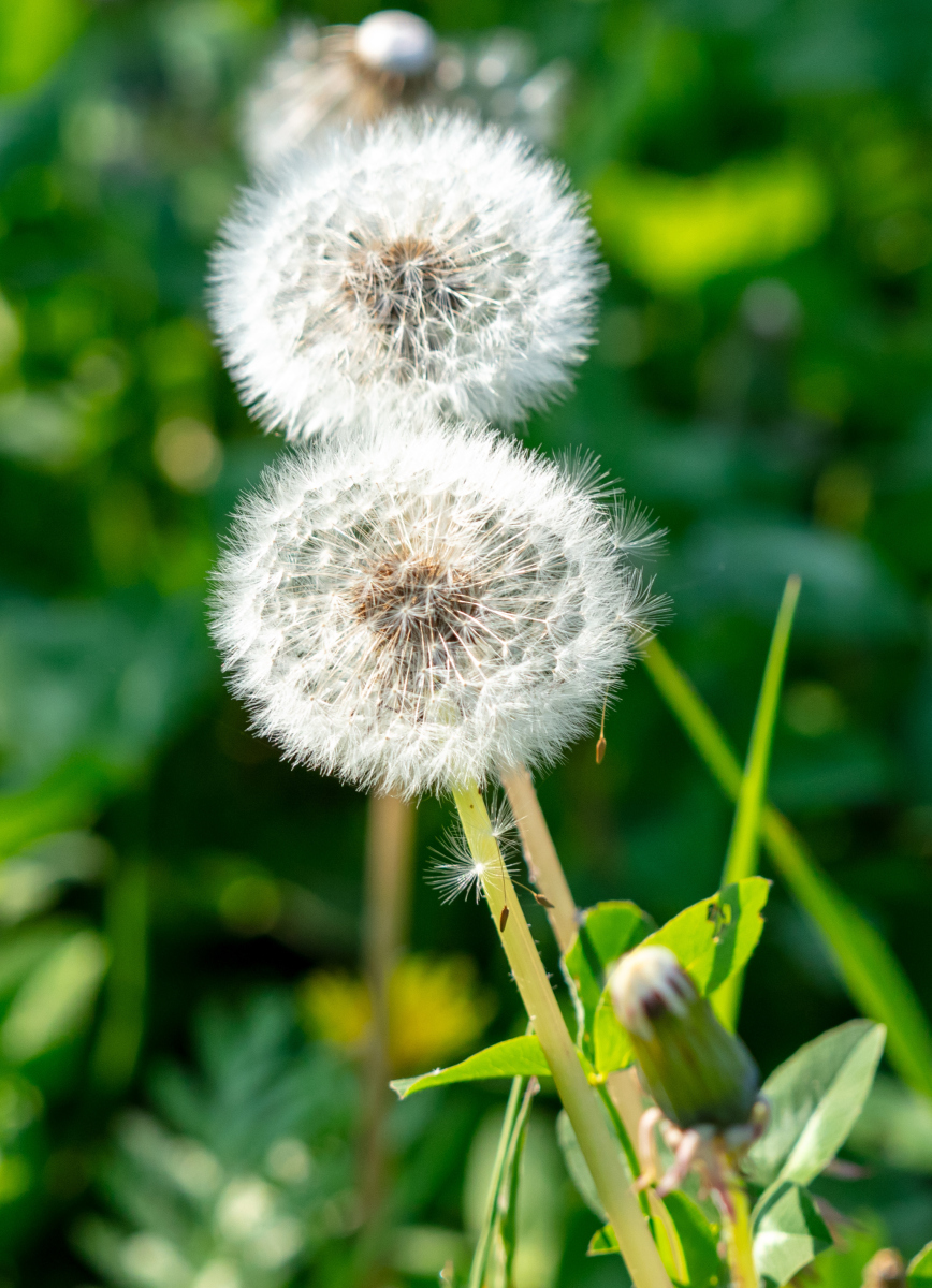 goodx083035's tweet photo. New to photography Start with the basics: natural light, a steady hand, and a subject that makes you smile. No fancy gear needed – just curiosity! https://t.co/zHiUoIESEJ
