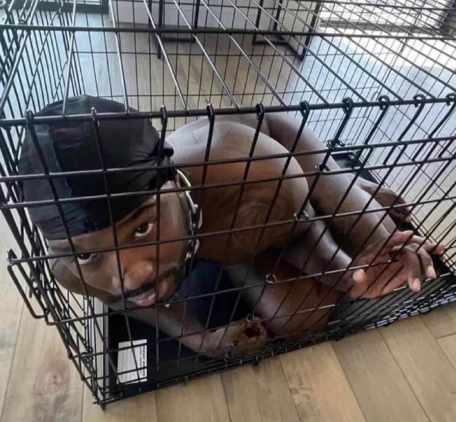 TeamFeetBros's tweet photo. @AkademiksTV They also put him in a cage &amp; I also think he was the one getting fu*ked &amp; screaming for dear life . https://t.co/f2zqgWybEc