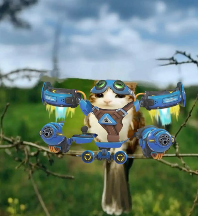 meowlverwatch's tweet photo. Jetpack Cat / Junker Queen / Junkrat / Juno https://t.co/yphgMp78lO