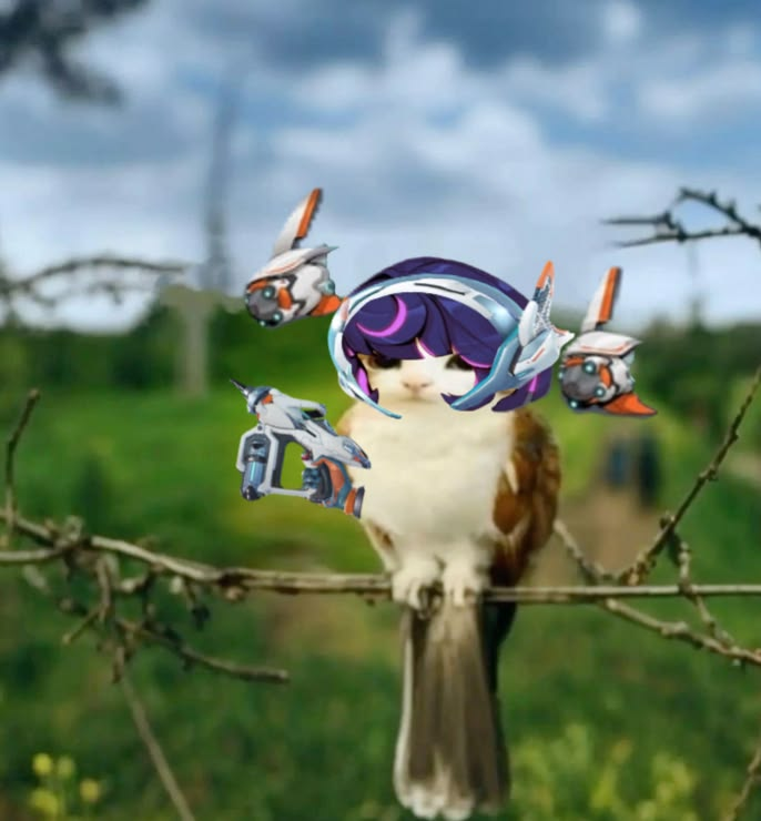 meowlverwatch's tweet photo. Jetpack Cat / Junker Queen / Junkrat / Juno https://t.co/yphgMp78lO