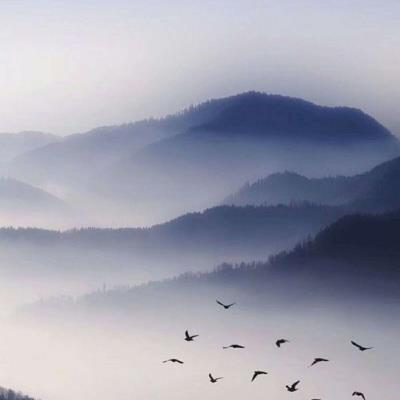 ColinComack's tweet photo. 💐 🌂 Curled up for a nap in fresh sheets, afternoon light filtering soft recharge rituals restore like nothing else. https://t.co/bYdnstM4ze