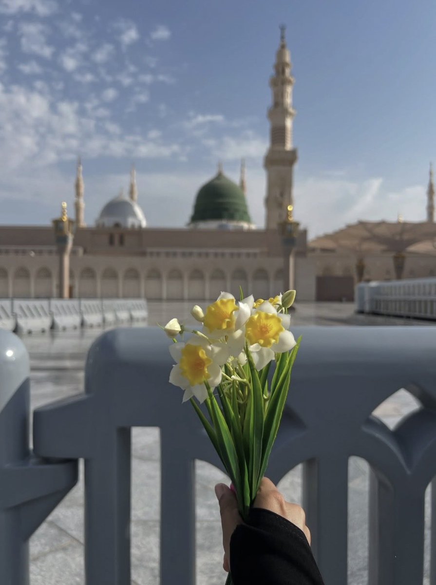 Dr_Ayesha_110's tweet photo. Life is nothing without love of prophet (pbuh) ❤️✨
Salla alaika ya abu az zahra (sa) ✨
#jummah #madina #mecca #saudiarabia https://t.co/YVkb88I6Qv