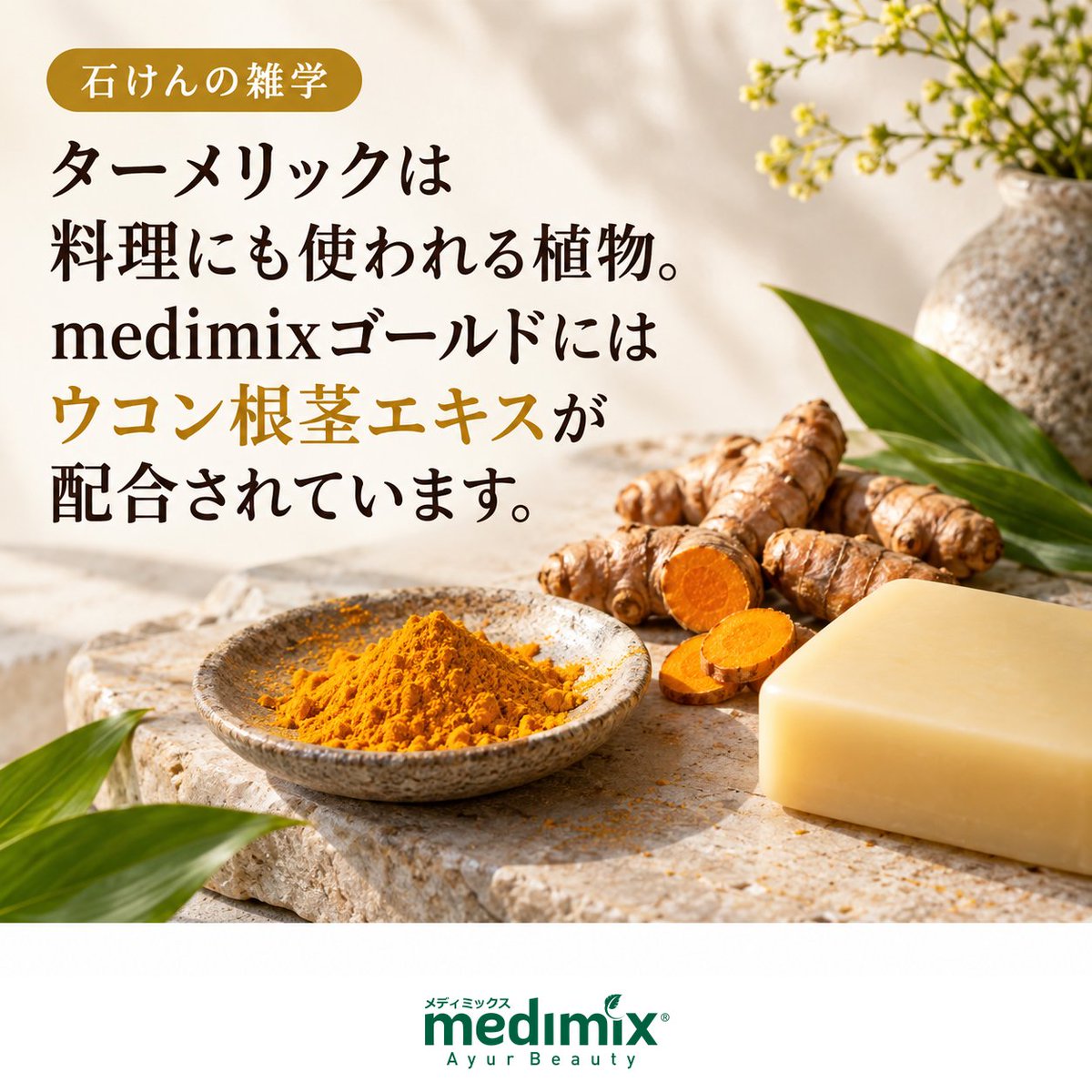 medimix_jp's tweet photo. 料理でおなじみのターメリック。石けんの素材としても使われています🌿
medimixゴールドには、ウコン根茎エキスを配合。
料理以外でターメリックを見かけたことはありますか?
#medimix #メディミックス #ターメリック https://t.co/9rtvUbSAaZ