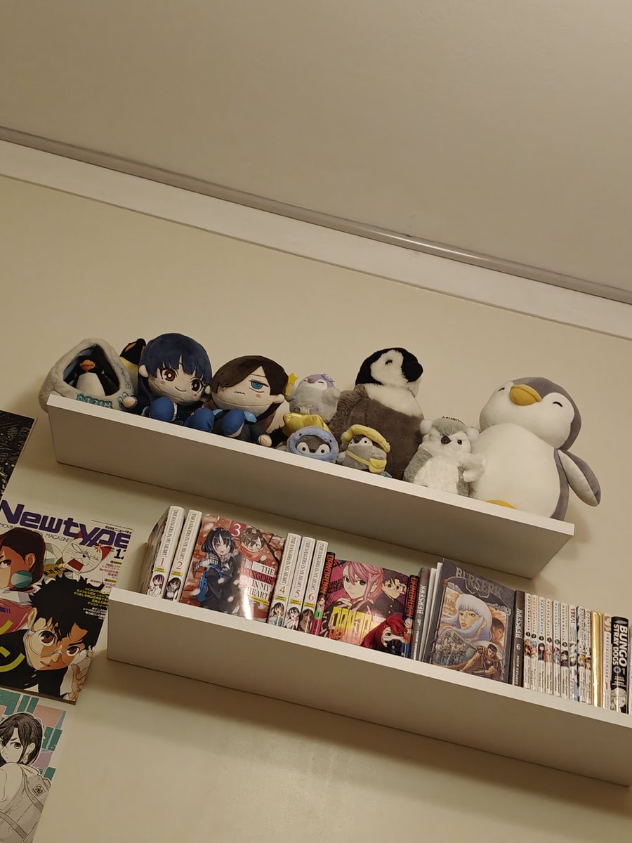 wen_8721's tweet photo. quiero tener un estante reservado a ellos pero como no tengo lugar todavía se van a tener que acomodar con mis pingüinos https://t.co/cBuAOgEly4