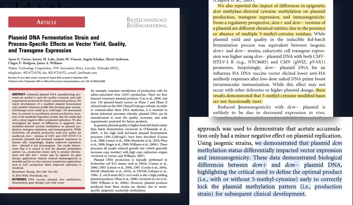 Kevin_McKernan's tweet photo. These results demonstrate that 5methylC bases are not functionally inert!

Recall all those fact checkers and FDA regulators claiming this residual DNA is NOT functional... Not according the Plasmid MFG literature. https://t.co/FRXtXaRX96