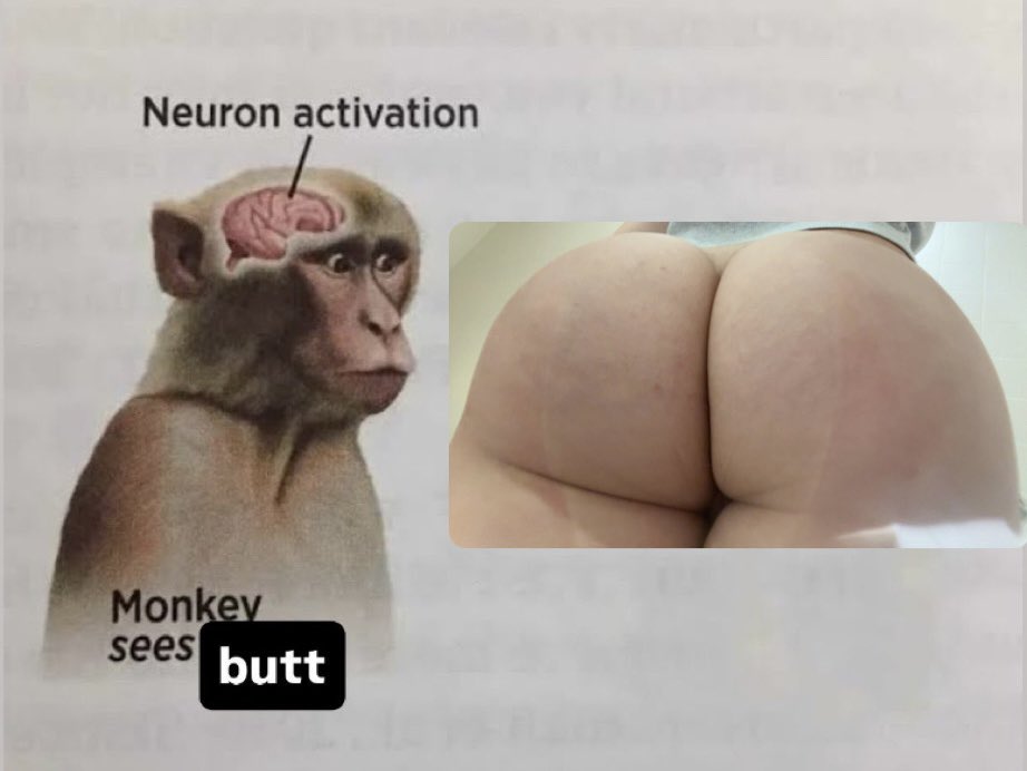controldev02's tweet photo. 🍑 https://t.co/gE1GAnA8PU