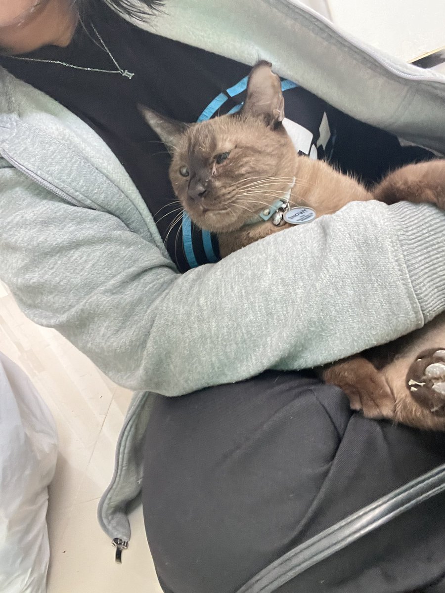 snowycimpong's tweet photo. MAW DI TINGGAL KERJA SETORAN MINTA PANGKU DLUCHHH SAMA IBOOOKKKK 😼😼😼😼😼😼 https://t.co/oxTzgMYME0