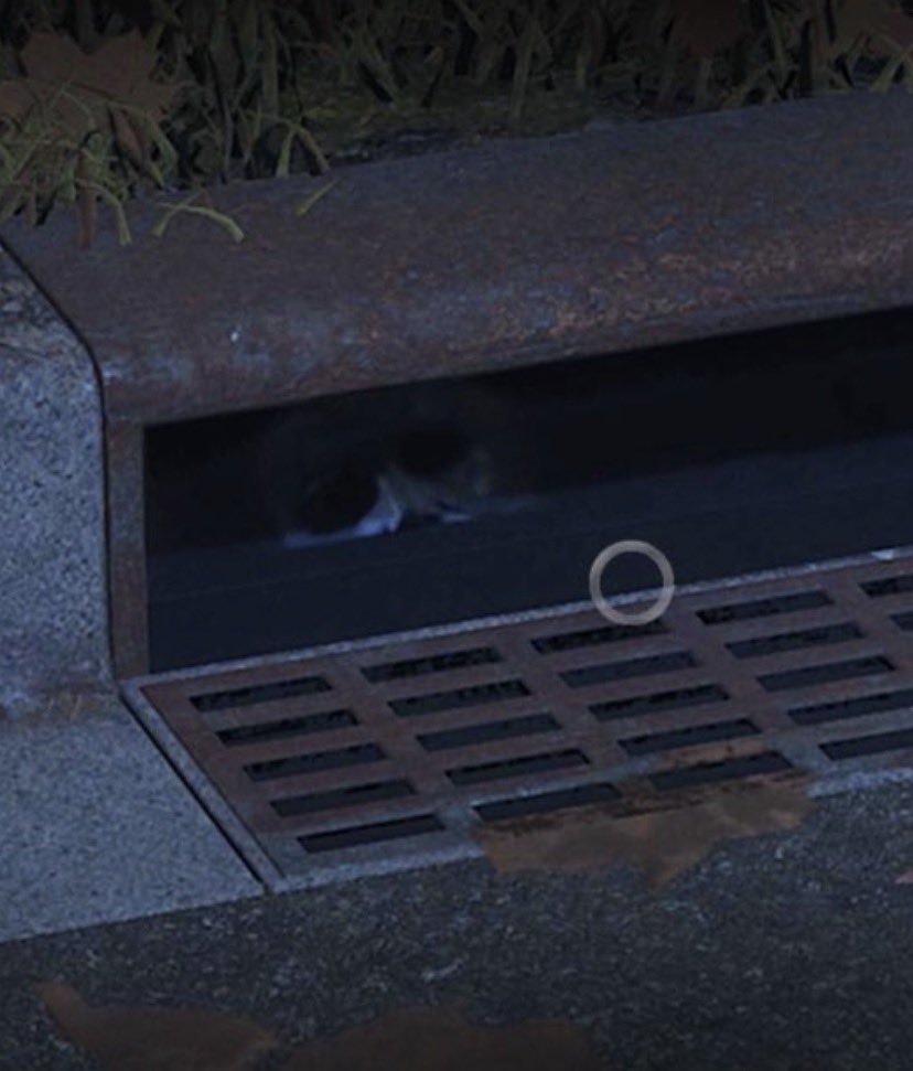squeaksvolumes's tweet photo. WTFFFF what an insane easter egg!! 

This is so creepy but promising for sequel content! https://t.co/ZlhorNBB0A
