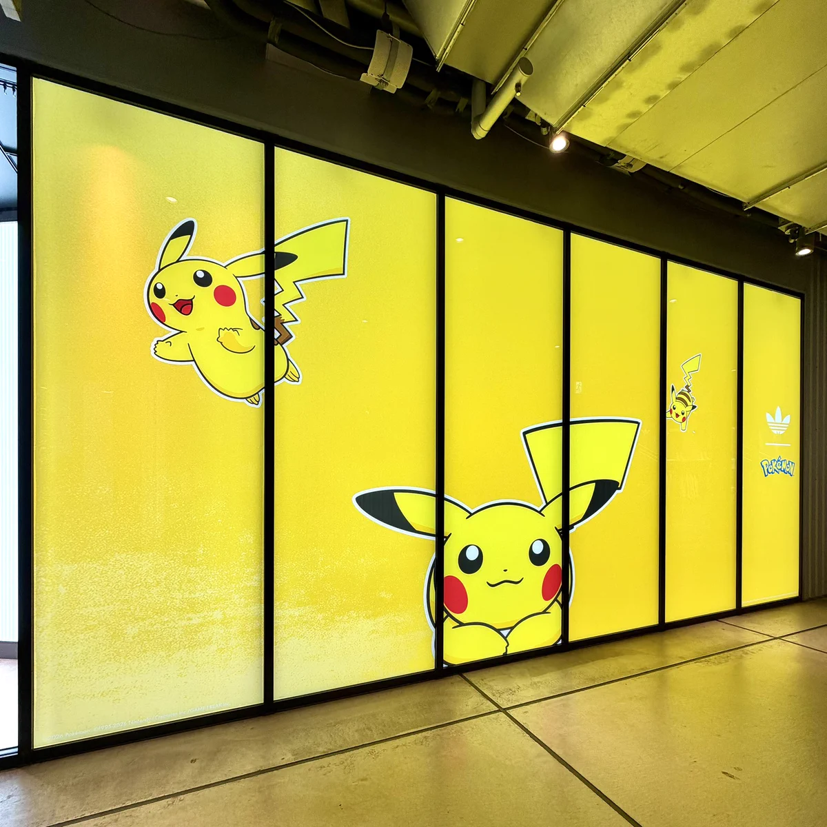 ポケモン情報NAKAYAMA【非公式】 on X: 