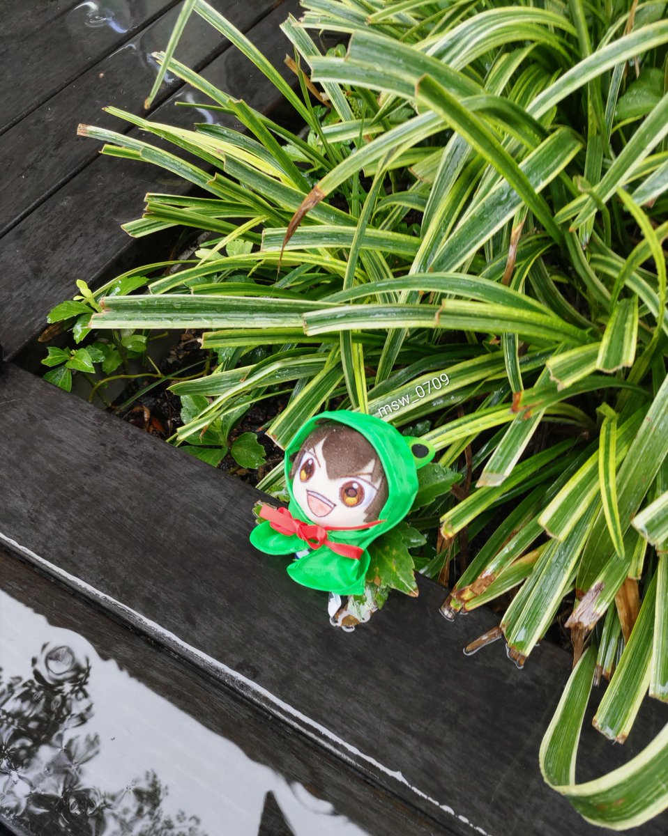 msw_0709's tweet photo. ☔ https://t.co/0ESbxFVRBa