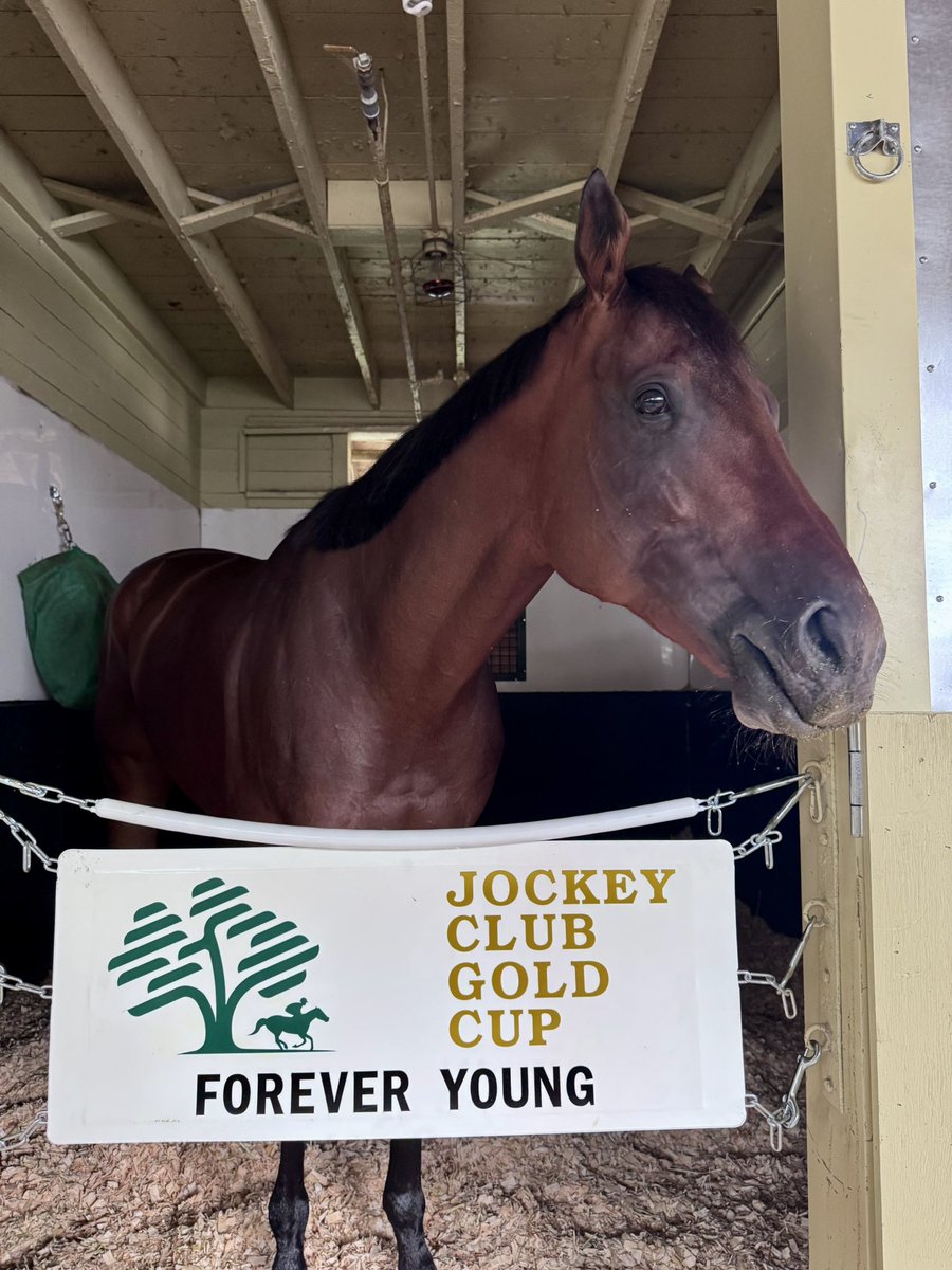 yahagistable's tweet photo. 今週の出走予定🏇🇺🇸

9/19(土)
ベルモントパーク競馬場 5R 
5:14発走予定
ジョッキークラブゴールドカップ･G1
フォーエバーヤング (坂井瑠星)

＊発走予定時間は日本時間です
(現地時間9/18 16:14)

#ForeverYoung
#TheJockeyClubGoldCup
@BelmontPark1905

人馬とも無事に🙏
応援よろしくお願いします！