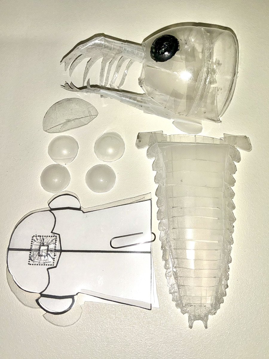 robokaseki's tweet photo. Parts preparation of our Mosura fentoni Robot is almost done.
We have already verified the buoyancy adjustment through rough calculations, so we can proceed with assembly and adjustment with confidence. #Radiodonta. #Mosura #ロボ化石
#Robopterus https://t.co/3S02jiC8TL