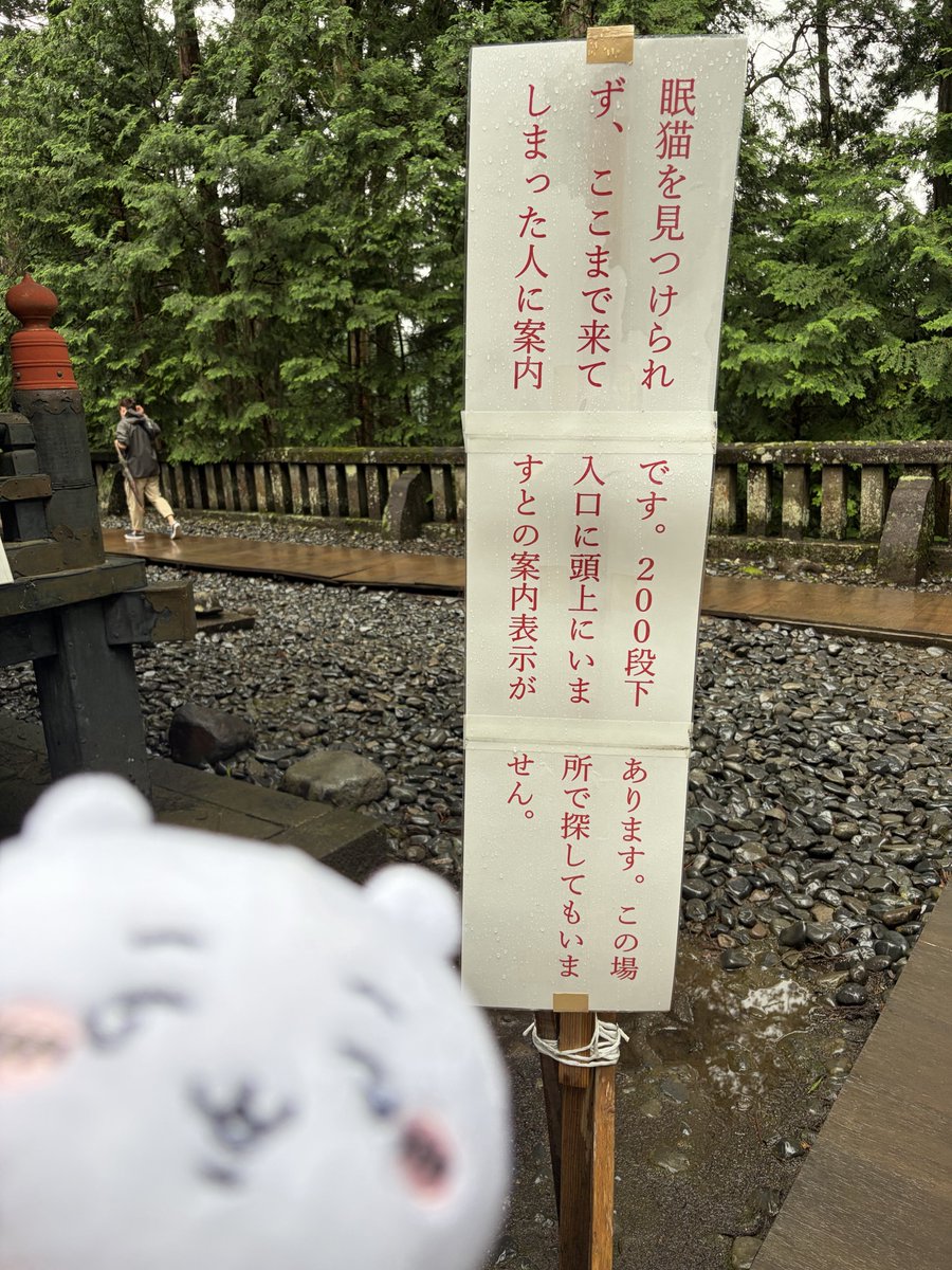 OKwOKww's tweet photo. https://t.co/9SpcuCHmUW