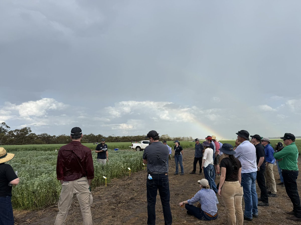 Stirlings2Coast's tweet photo. What’s a South Coast Spring Field Day without four seasons in one day! Thanks to our members, presenters, supporters and host farmers (&amp; the awesome SCF team!) for a fun and informative day!! https://t.co/VMOI6s2qOn
