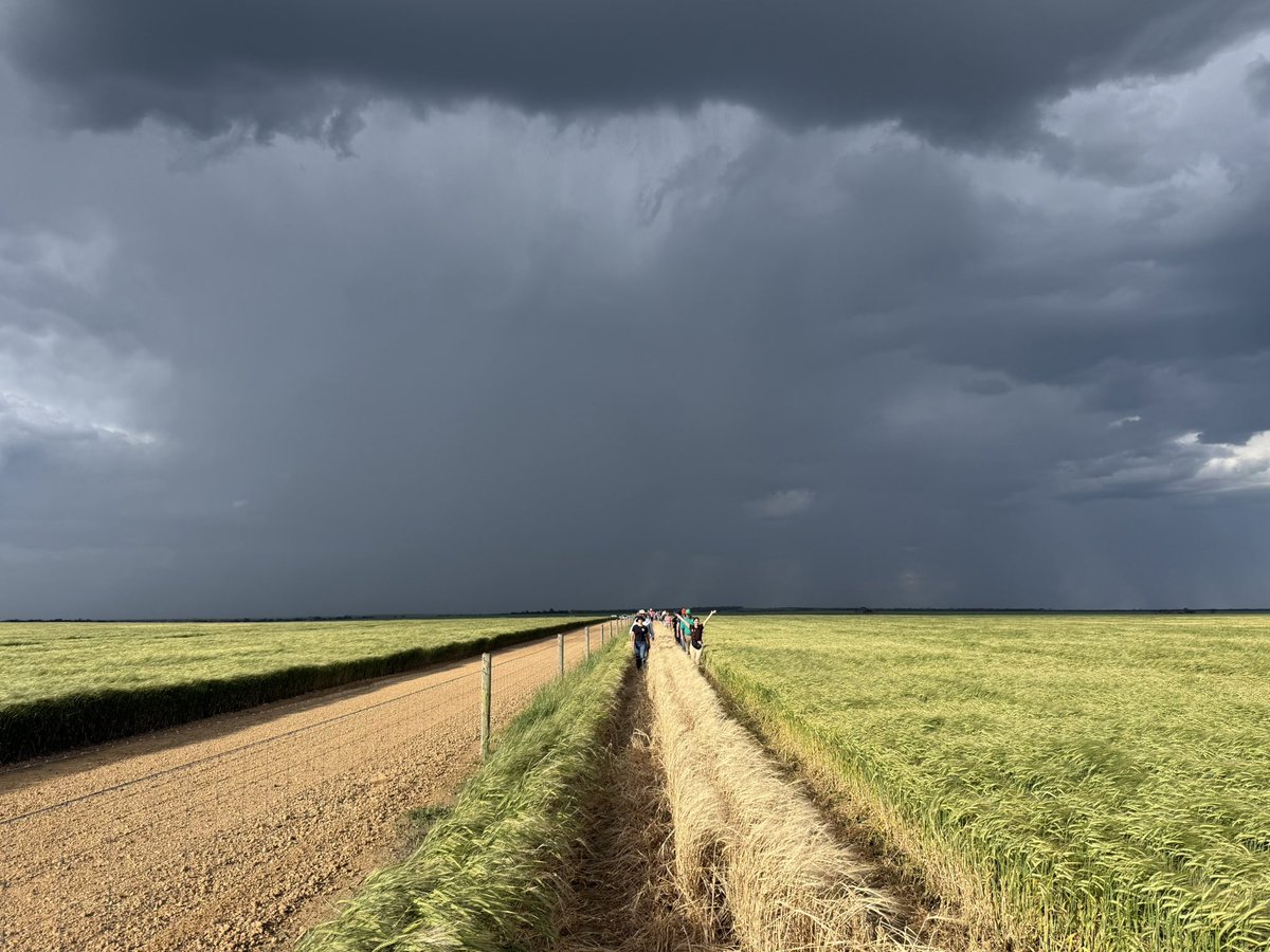Stirlings2Coast's tweet photo. What’s a South Coast Spring Field Day without four seasons in one day! Thanks to our members, presenters, supporters and host farmers (&amp; the awesome SCF team!) for a fun and informative day!! https://t.co/VMOI6s2qOn