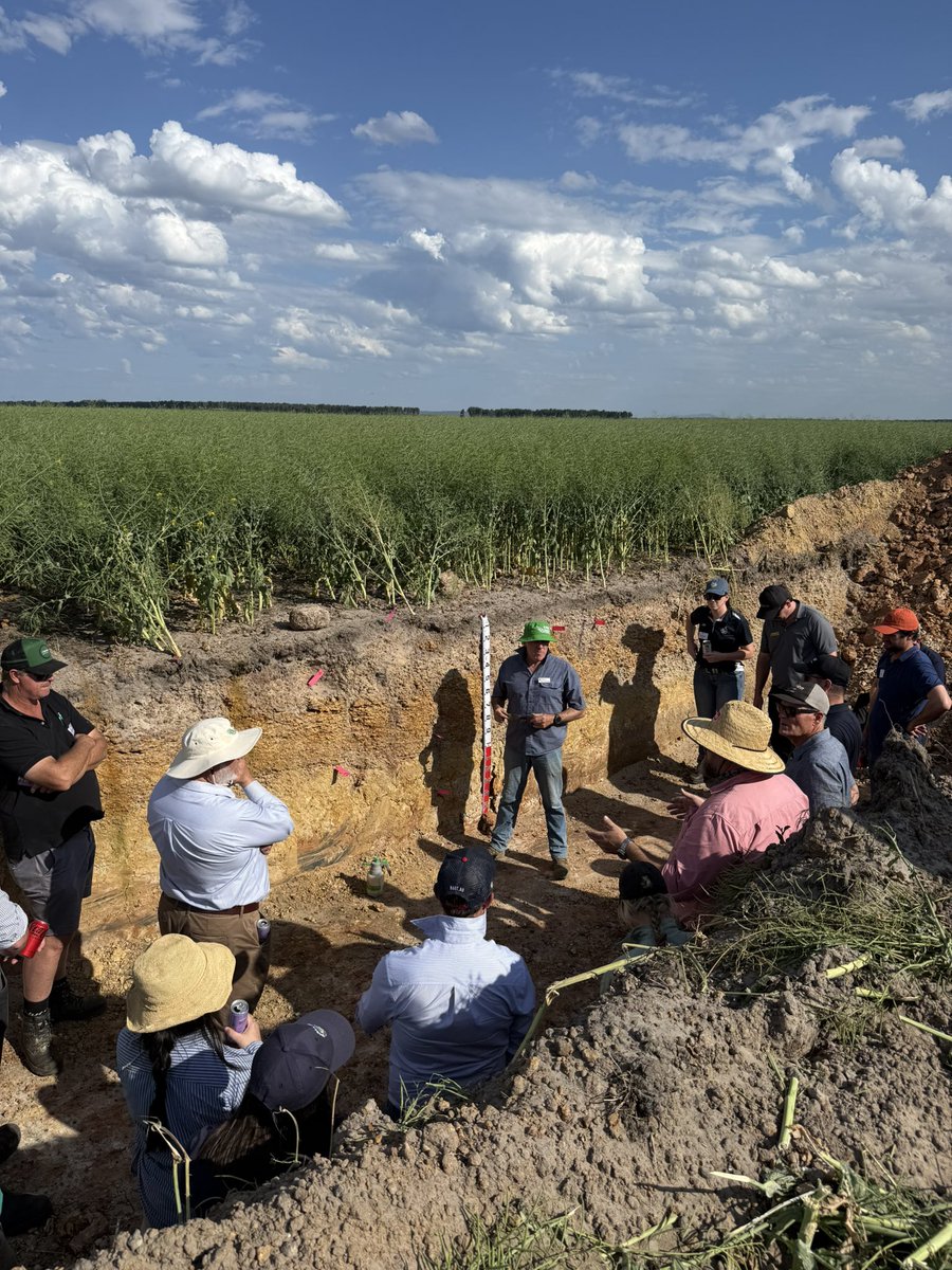 Stirlings2Coast's tweet photo. What’s a South Coast Spring Field Day without four seasons in one day! Thanks to our members, presenters, supporters and host farmers (&amp; the awesome SCF team!) for a fun and informative day!! https://t.co/VMOI6s2qOn