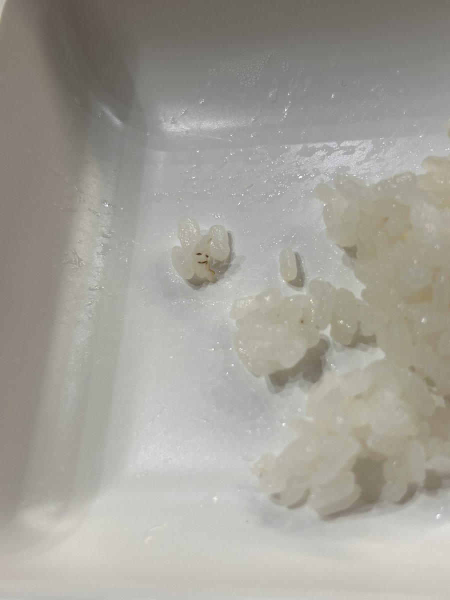 miimamakamone's tweet photo. しょーもないことやけど
お米に顔があるように見えて
息子と爆笑した笑 https://t.co/HyoFQKGsbW