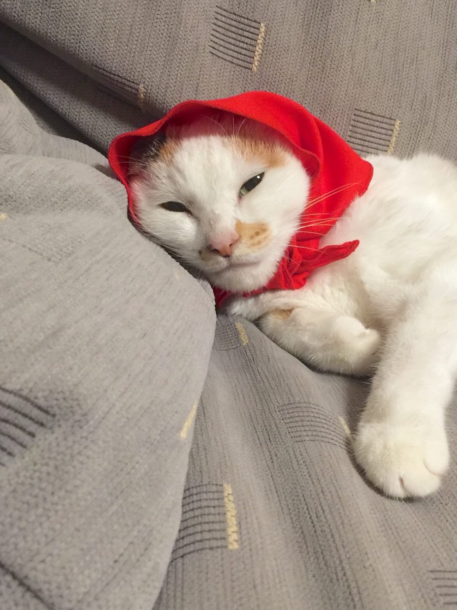 MarylouFadei's tweet photo. 完璧を追い求めると疲れてしまうから、たまには何も考えずにぼんやりする時間を大切にしたいね。凪のような心持ちでいるのが一番かも。 https://t.co/NTDV7bAsdP