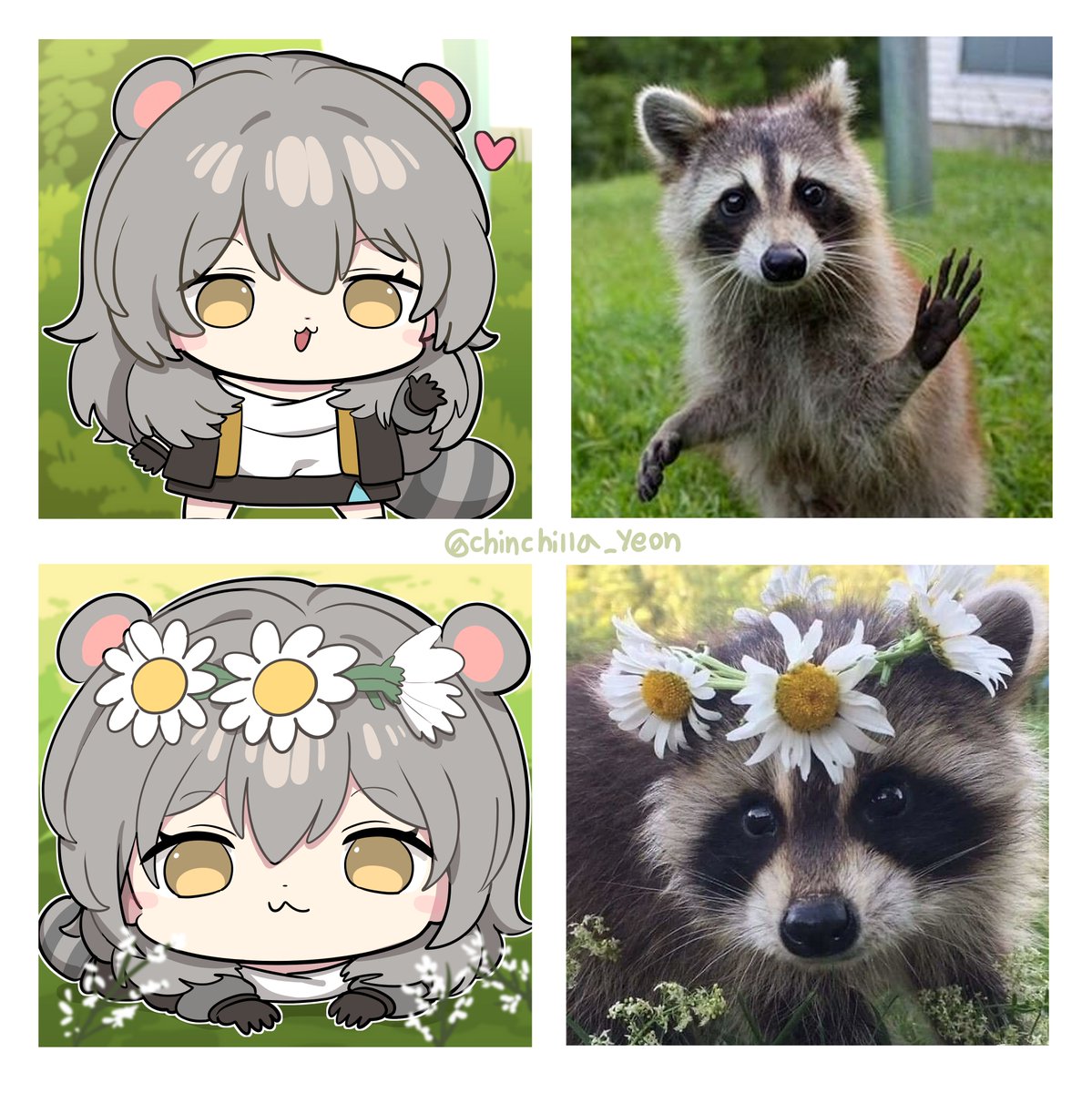 chinchilla_yeon's tweet photo. 🦝🌼 https://t.co/0US11BHtlA