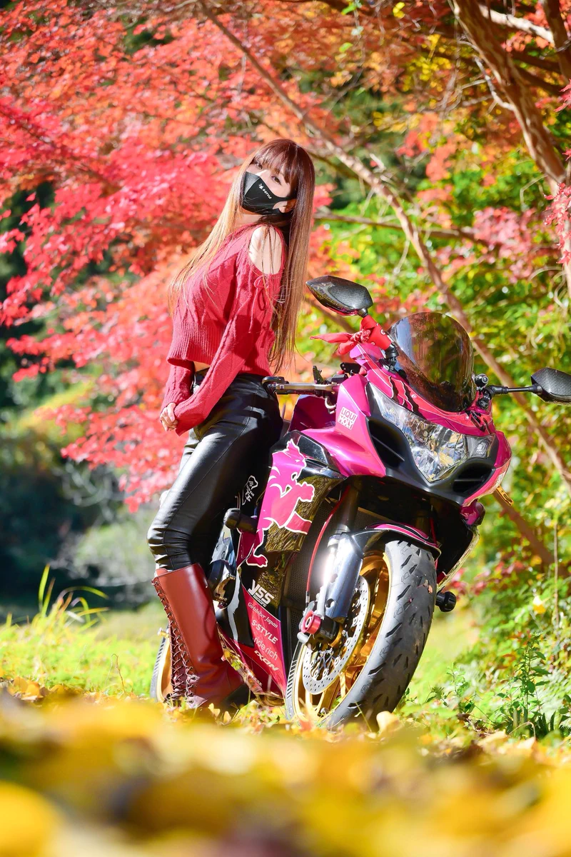 𝐒ちゃん🌸猫Photo Rider (@Kuroneko_S_chan) / X