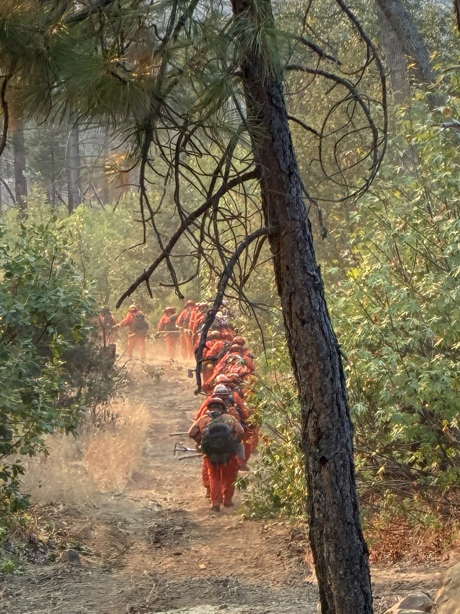 CALFIRELNU's tweet photo. #LucasFire - Update
The #LucasFire is currently 67% contained, with resources continuing to work overnight to strengthen containment lines and extinguish hotspots.
Today, while out on the incident, one of our Konocti hands crews, located a dog within the fire area. Thanks to the crews quick actions, the dog was safely rescued. ❤️🐾
A great reminder of the dedication, compassion, and hard work our crews bring to every incident. Stay safe, everyone! 🚒🔥🐾