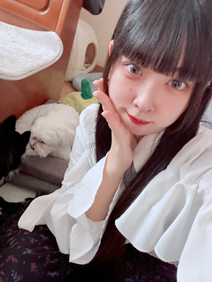 lua_1025's tweet photo. 久しぶりの自撮りwithわんこ https://t.co/g5v0spMDsd