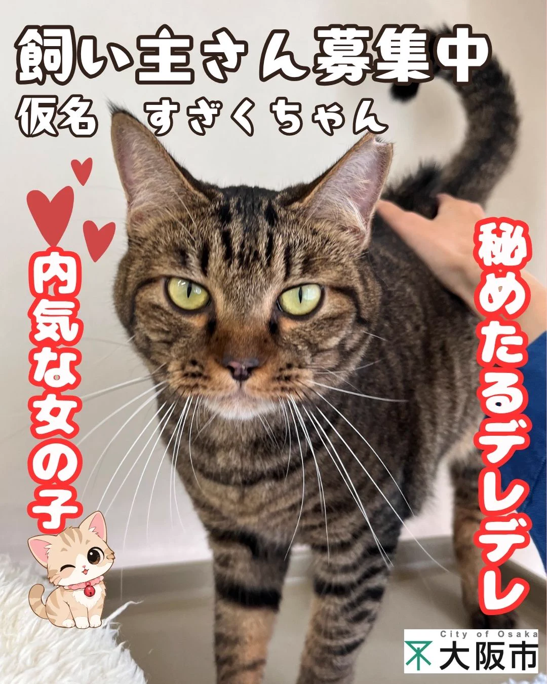 おおさかワンニャン通信 on X: 