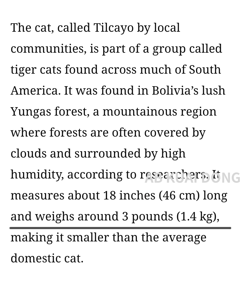 Source media 1 from @_forab