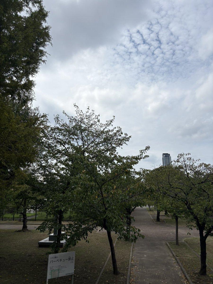 tencharibase's tweet photo. 毛馬桜之宮公園です。秋空です。
#てんちゃり #大阪城 #レンタサイクル https://t.co/ePVWtPA5w1