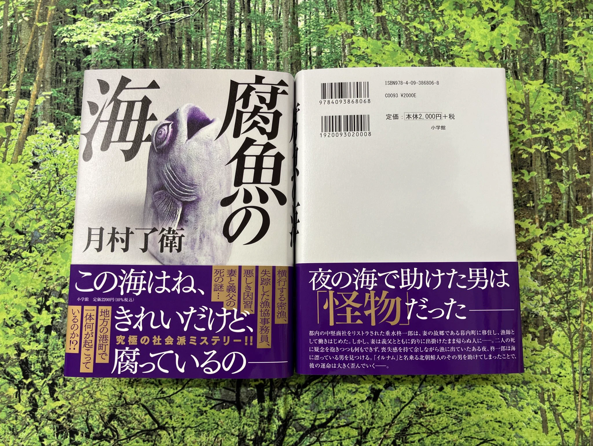 丸善名古屋本店 on X: 