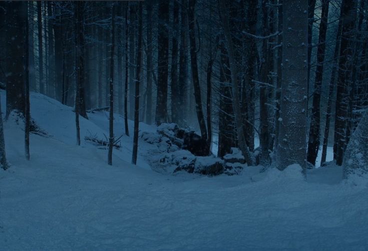 samw3lltarly's tweet photo. 🥶🥶🥶 https://t.co/VzwnClIjFk