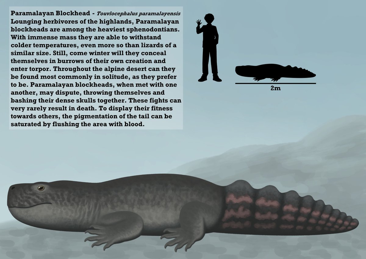 aberrantologist's tweet photo. The Paramalayan Blockhead, a fictional sphenodontian, was my tenth entry for phase III of Lemuria! https://t.co/ZXcl69dpPr