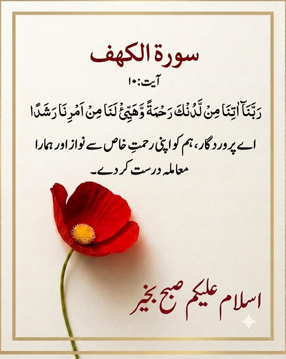 LubnaEnt's tweet photo. Good morning,,, https://t.co/twlYd3qBRp