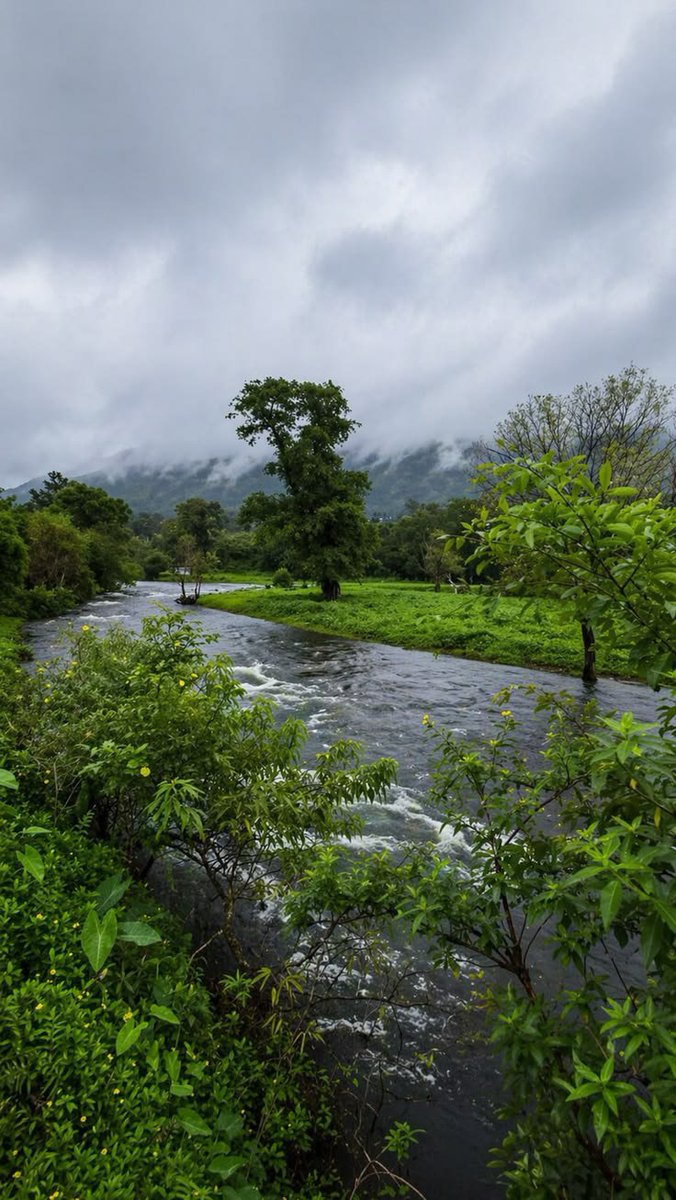lunaaestt's tweet photo. Green nature serenity https://t.co/wf5OcNb22K