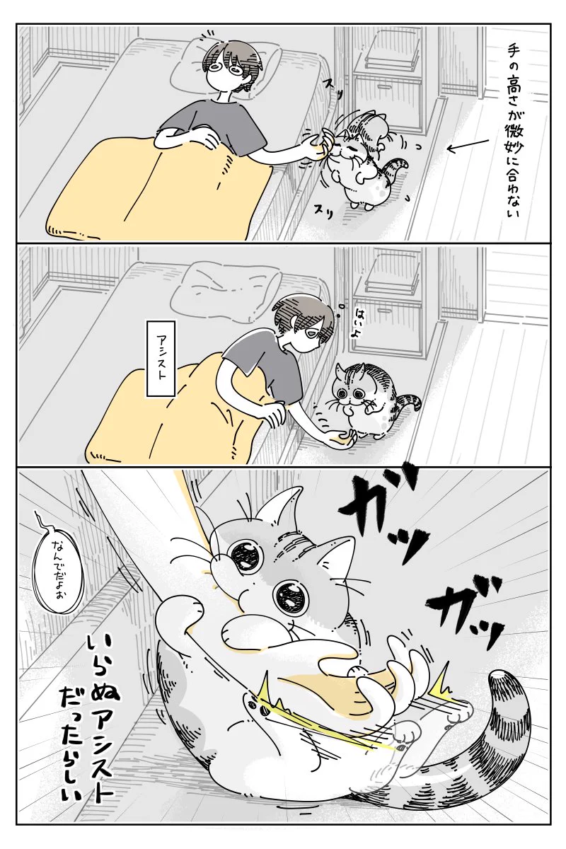 キュルZ on X: 