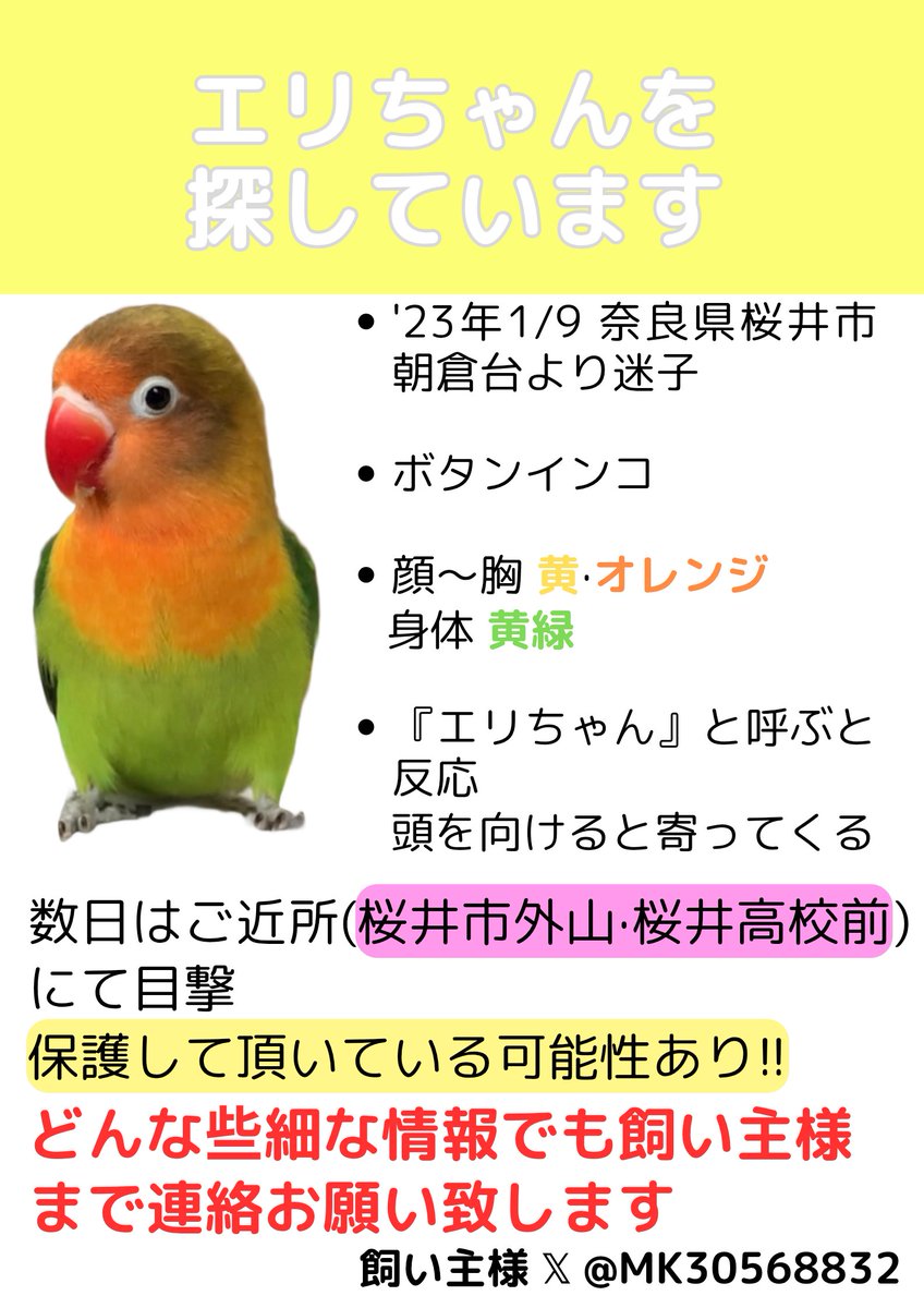 iowancows_pets's tweet photo. 🦜エリちゃん
'23年1月 奈良県桜井市より迷子に

ボタンインコさんで
現在3才

迷子から数日はご近所での目撃情報があり、保護していただいている可能性もあります

何かご存知の方は、どんな些細なことでも
👇引用元の飼い主さんまで連絡お願いいたします🙏

#迷子鳥
#迷い鳥
#保護鳥 https://t.co/eaYFFZ4drm
