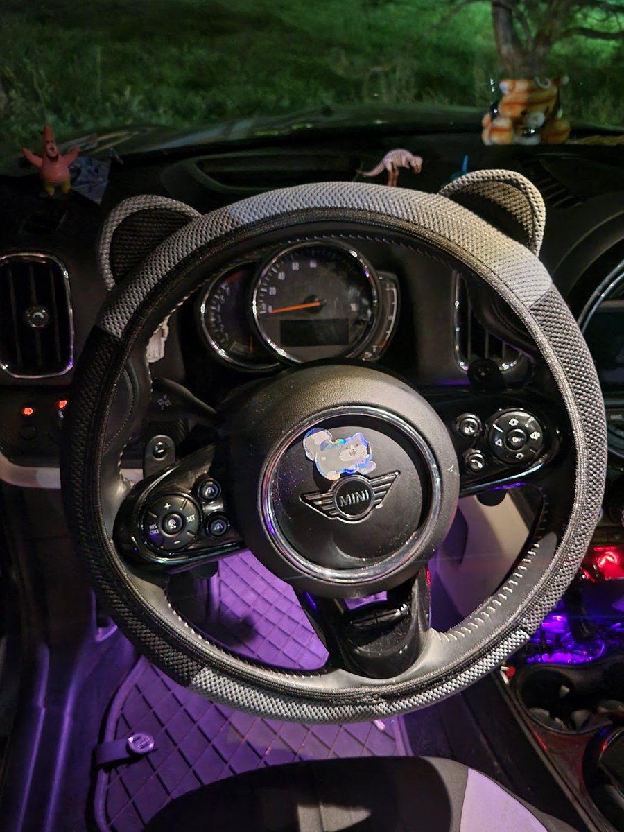 uhbegay's tweet photo. ordered steering wheel cover with kitty cat ears n they sent me one with bear ears #wateva https://t.co/oFh9YI3AwY