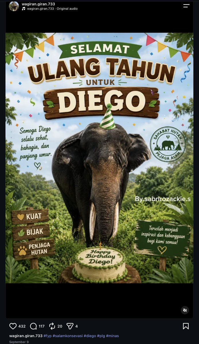 jaesxc's tweet photo. Patah hati 😭😭💔

Kita kehilangan satu gajah binaan lagi di tahun ini, tgl 9 september kemarin Diego masih ngerayain ulang tahun, lalu tgl 14 september Diego pergi untuk selama-lamanya.. https://t.co/CFYFTvfZ8S