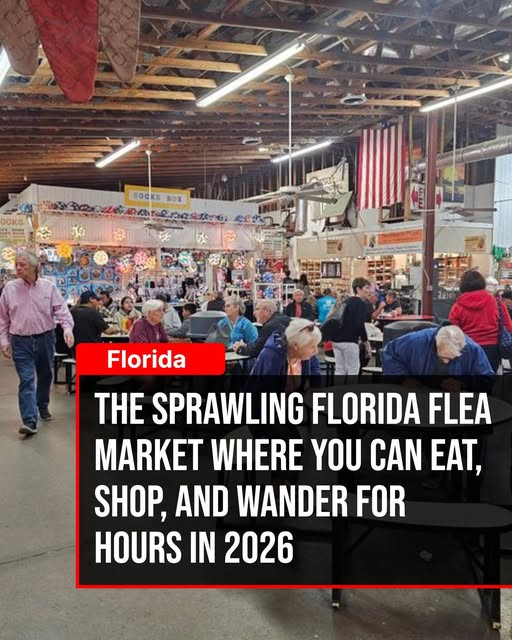 Bettyioopl's tweet photo. Vendor stalls, food stands and aisles that seem to stretch on forever, which is exactly why nobody treats this Florida flea market as a quick stop. https://t.co/10lcFXtQ5B