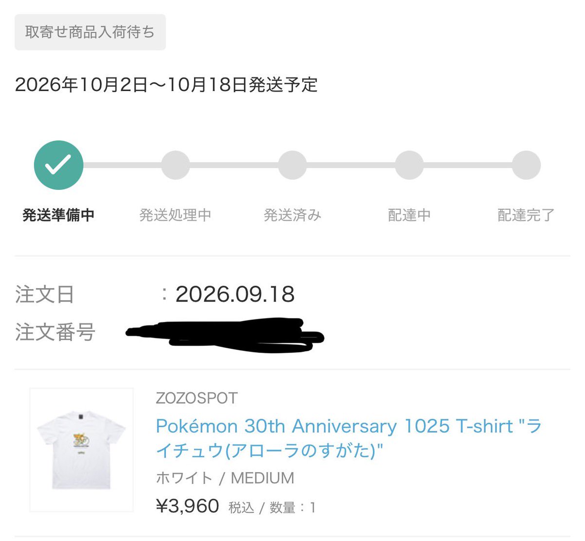 02_ZERO_Ni's tweet photo. ZOZOTOWNのポケモン30thはアローラライチュウにしました。
届くのが楽しみ https://t.co/sjWZ0Q80cO